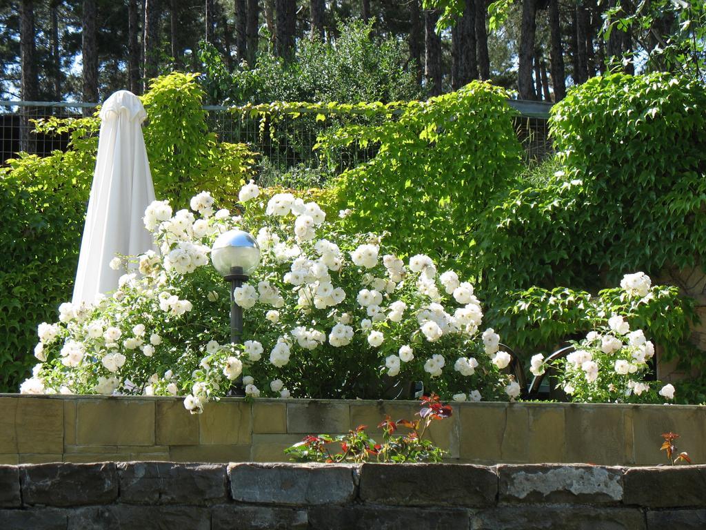 Milennia Family Hotel ซันนีบีช ภายนอก รูปภาพ